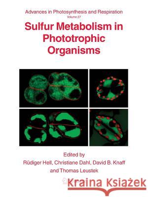 Sulfur Metabolism in Phototrophic Organisms Rudiger Hell Christiane Dahl David B. Knaff 9789048177424