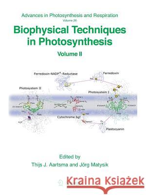 Biophysical Techniques in Photosynthesis: Volume II Aartsma, Thijs 9789048178209