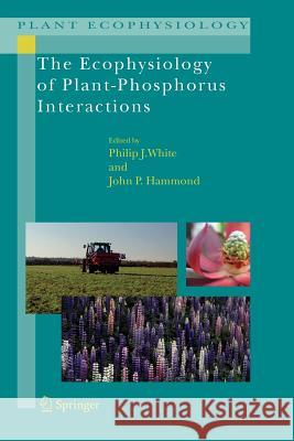 The Ecophysiology of Plant-Phosphorus Interactions Philip J. White John P. Hammond 9789048178810 Springer