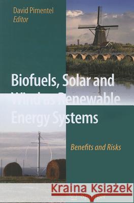 Biofuels, Solar and Wind as Renewable Energy Systems: Benefits and Risks Pimentel, D. 9789048179459 Not Avail