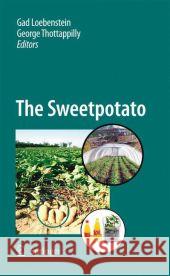 The Sweetpotato Gad Loebenstein George Thottappilly 9789048181353 Springer