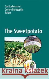 The Sweetpotato Gad Loebenstein George Thottappilly 9789048181353