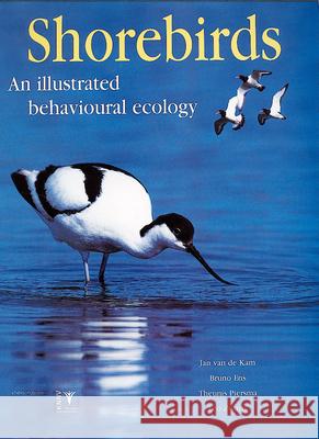 Shorebirds: An Illustrated Behavioural Ecology Jan van de Kam Bruno Ens Theunis Piersma 9789050111928 KNNV Publishing