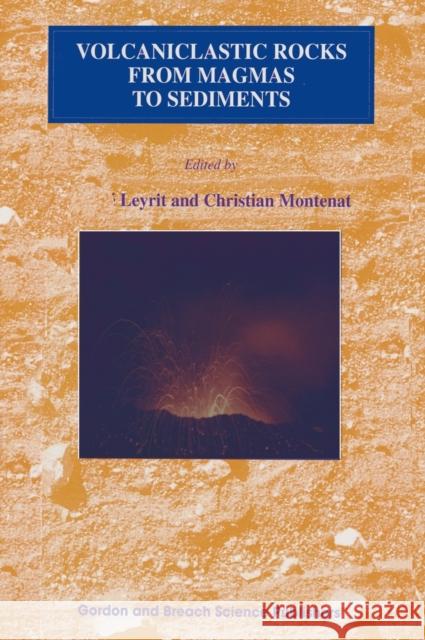 Volcaniclastic Rocks, from Magmas to Sediments Herve Leyrit Christian Montenat Montenat Montenat 9789056992781 CRC Press