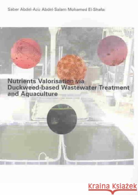 Nutrients Valorisation Via Duckweed-Based Wastewater Treatment and Aquaculture El-Shafai, Saber Abdel-Aziz Abdel-Salam 9789058096562 Taylor & Francis