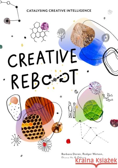 Creative Reboot: Catalysing Creative Intelligence  9789063696320 Bis Publishers