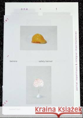 Daniel Eatock: One +1: Partial Repetitions & Integral Impermanences Daniel Eatock Marie-Anne McQuay  9789078454953