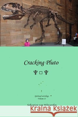 Cracking Pluto Mr Sebastian Van Wingerden 9789080715592