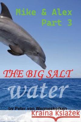 The Big Salt Water Peter Va Dara Oladejo Jack Turner 9789083457857 Publishdrive