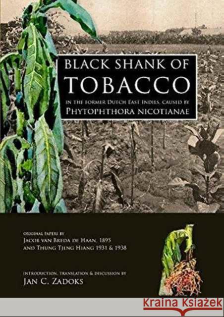 Black Shank of Tobacco in the Former Dutch East Indies, Caused by Phytophthora Nicotianae: Original Papers by Jacob Van Breda de Haan, 1895 and Thung Zadoks, Jan C. 9789088902833 Oxbow Books (ML)