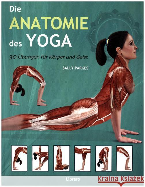 Die Anatomie des Yoga : 30 Übungen für Körper und Geist Ashwell, Ken 9789089986214