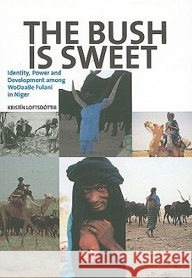The Bush Is Sweet: Identity, Power and Development Among WoDaaBe Fulani in Niger Loftsdottir, Kristin 9789171066176 Nordic Africa Institute