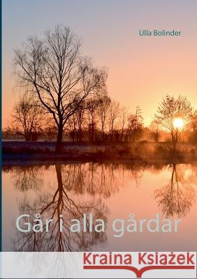 Går i alla gårdar Ulla Bolinder 9789176993613 Books on Demand