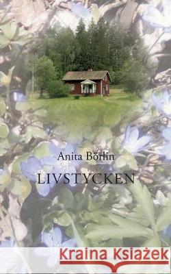 Livstycken Anita Börlin 9789176999752 Books on Demand