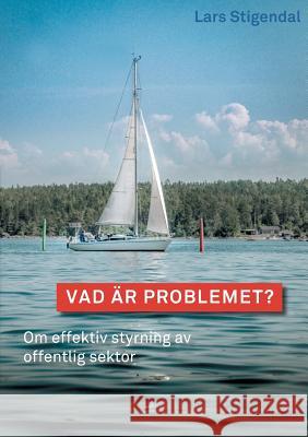 Vad är problemet?: Om effektiv styrning av offentlig sektor Lars Stigendal, Siv Liedholm 9789177853657 Books on Demand
