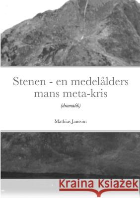 Stenen - en medelålders mans meta-kris Mathias Jansson 9789186915483