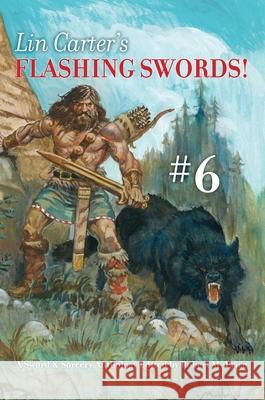 Lin Carter's Flashing Swords! #6: A Sword & Sorcery Anthology Edited by Robert M. Price Robert M. Price Lin Carter Clayton Hinkle 9789187611391