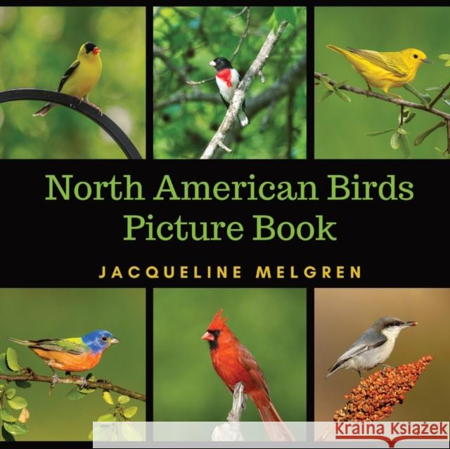 North American Birds Picture Book: Dementia Activities for Seniors (30 Premium Pictures on 70lb Paper With Names) Jacqueline Melgren 9789189452398 Adisan Publishing AB