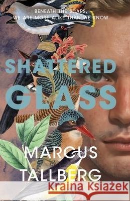 Shattered Glass Marcus Tallberg S. V. Teague 9789198607697 Tallbergs Forlag
