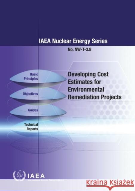 DEVELOPING COST ESTIMATES FOR ENVIRONMEN INTERNATIONAL ATOMIC 9789203303200 EUROSPAN
