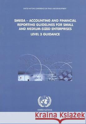 Accounting and Financial Reporting Guidelines for Small and Medium- Sized Enterprises: Level 3 Guidance United Nations 9789211127645 United Nations