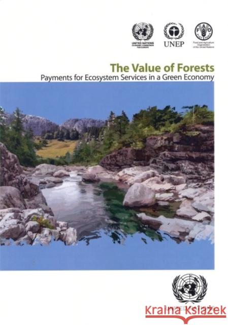 The Value of Forests: Payment for Ecosystem Services for a Green Economy United Nations 9789211170719 United Nations