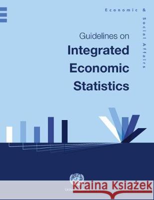 Guidelines on Integrated Economic Statistics United Nations 9789211615593 United Nations