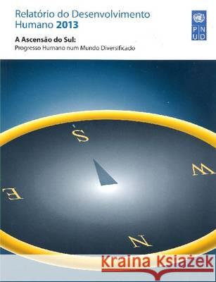 Relatorio Do Desenvolvimento Humano de 2013 United Nations 9789216260187 United Nations