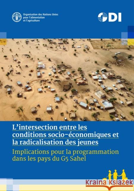 L'intersection entre les conditions socio-economiques et la radicalisation des jeunes Levine, S. 9789251362327