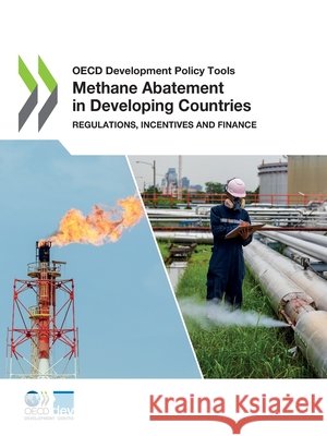 Methane Abatement in Developing Countries Oecd 9789264567450 OECD