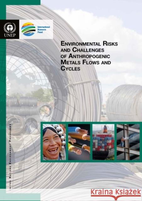 Environmental Risks and Challenges of Anthropogenic Metals Flows and Cycles United Nations Environment Programme   9789280732665