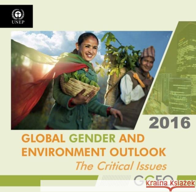 Global Gender and Environment Outlook 2016: The Critical Issues United Nations Publications 9789280735505
