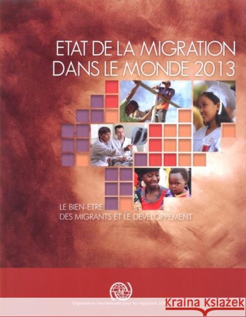 Etat De La Migration Dans Le Monde: Le Bien-etre DES Migrations Et Le Developpement: 2013 International Organization for Migration   9789290686699 International Organization for Migration