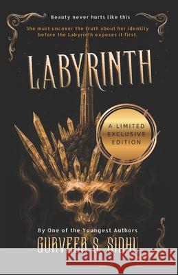 Labyrinth Gurveer Sing 9789334415469