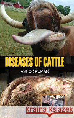 Diseases of Cattle Ashok Kumar 9789350564110