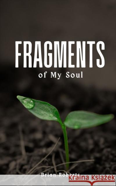 Fragments of My Soul Brian Roberts   9789357618182 Libresco Feeds Private Limited