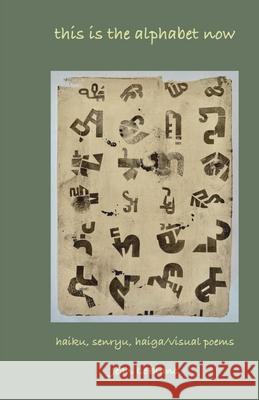 this is the alphabet now Jean LeBlanc 9789363545991