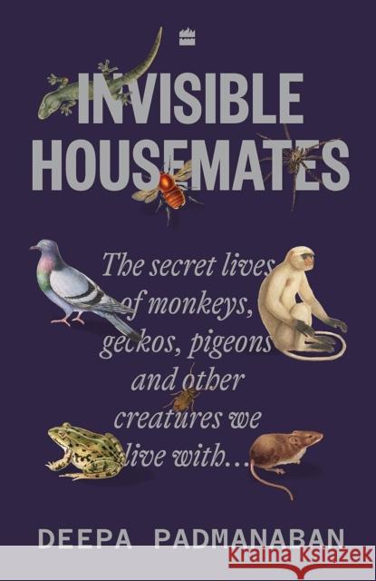 Invisible Housemates Deepa Padmanaban 9789369896462