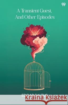 A Transient Guest, And Other Episodes Edgar Saltus 9789371814478