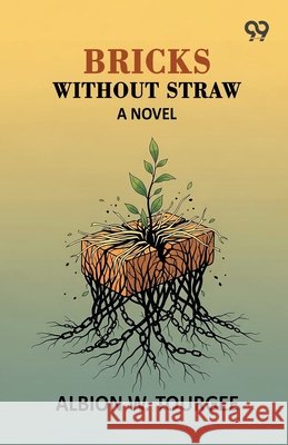 Bricks Without Straw Tourgee, Albion Winegar 9789376391097 Double 9 Books