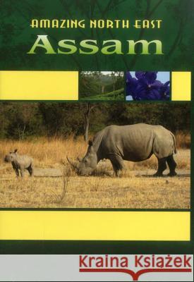 Amazing North East - Assam Devi, Aribam Indubala 9789380177243 Vij Books India