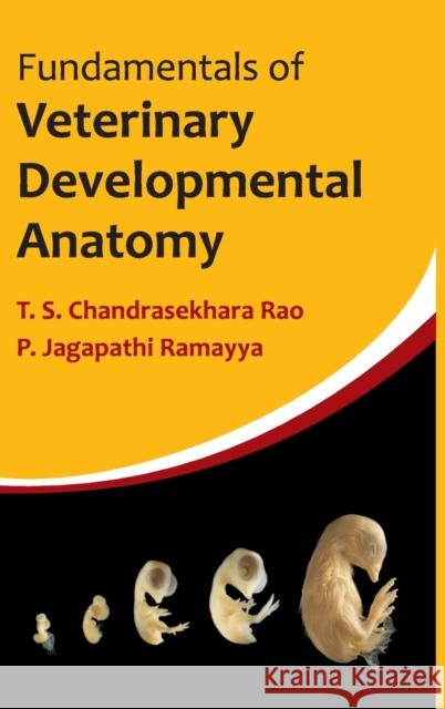 Fundamentals Of Veterinary Developmental Anatomy Rao, T. S. Chandrasekhara 9789381450697