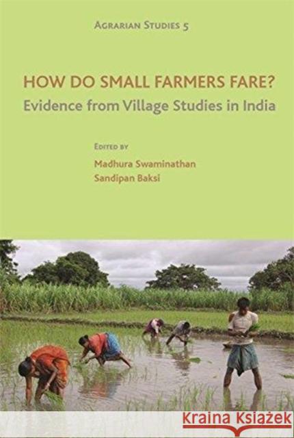 How Do Small Farmers Fare?: Evidence from Village Studies in India Madhura Swaminathan Sandipan Baksi 9789382381976