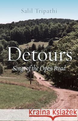 Detours: Songs of the Open Road Salil Tripathi 9789385152924 Westland Publications Limited