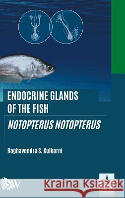 Endocrine Glands of the Fish: Notopterus Notopterus Raghavendra S Kulkarni   9789387057586 Scholars World
