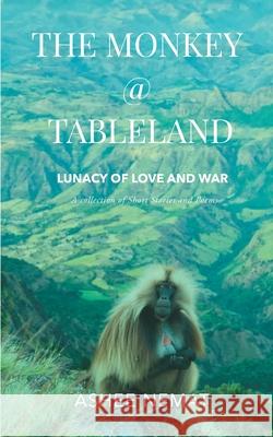 The Monkey at Tableland Ashee Nemat 9789388762281 Woven Words Publishers Opc Private Limited