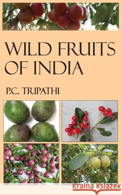 Wild Fruits of India P. C. Tripathi 9789389130201 New India Publishing Agency- Nipa
