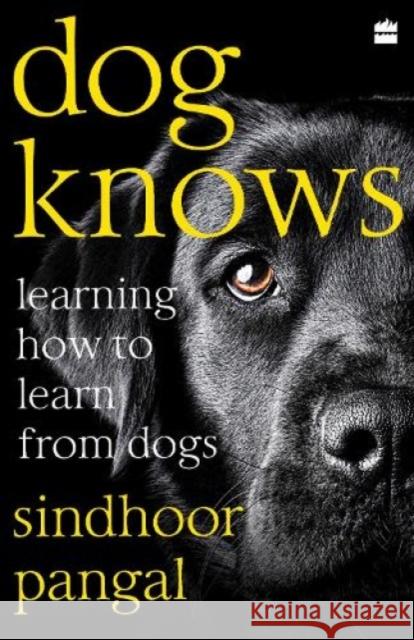 Dog Knows: Learning How to Learn from Dogs Sindhoor Pangal 9789390163854 HarperCollins India