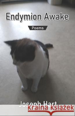 Endymion Awake Joseph Hart   9789390601738