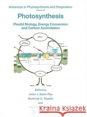 Photosynthesis: Plastid Biology, Energy Conversion and Carbon Assimilation Eaton-Rye, Julian J. 9789400715783 Not Avail